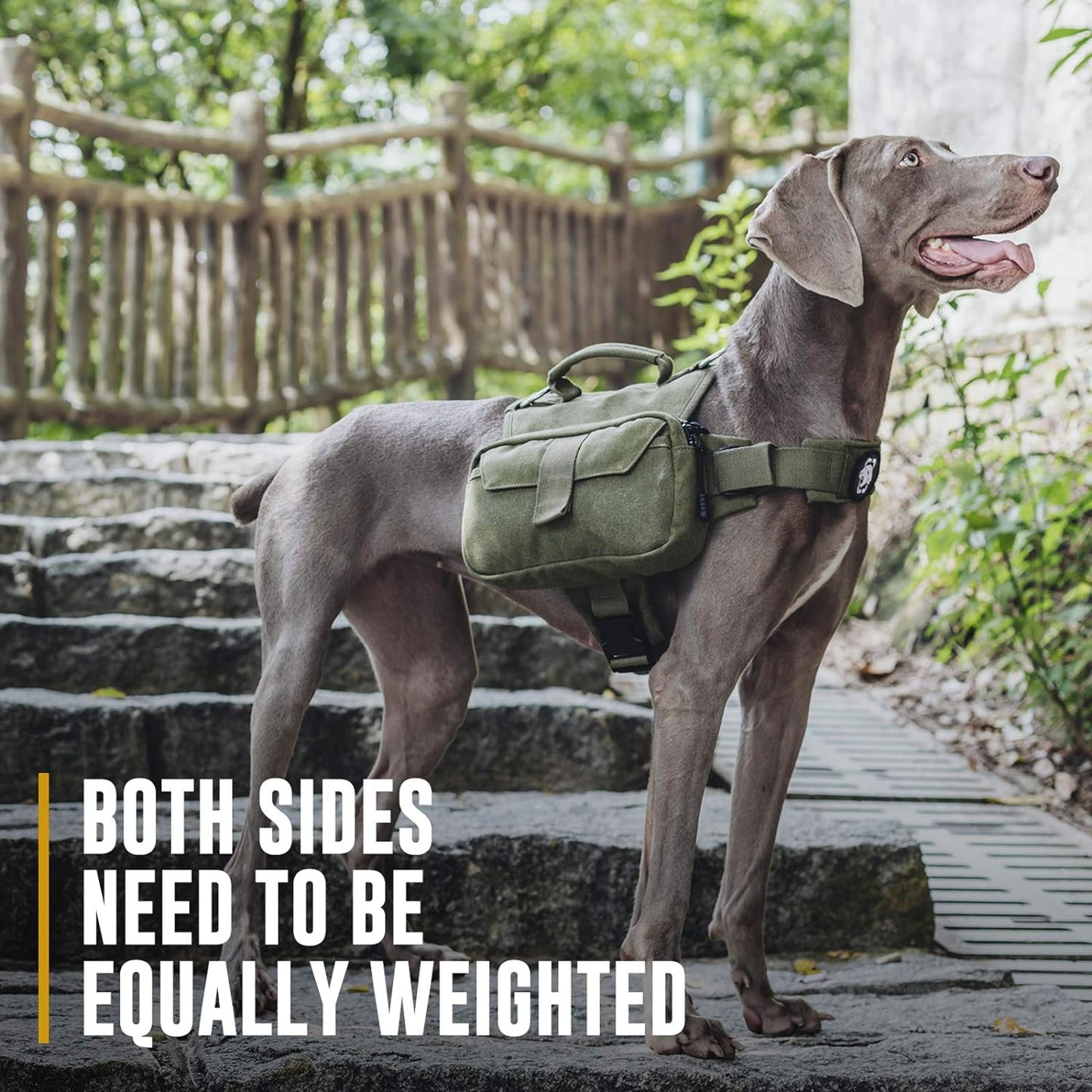 Dog Pack Hound Travel Camping Hiking Backpack Saddle Bag Rucksack for Medium & Large Dog (Ranger Green, Medium)
