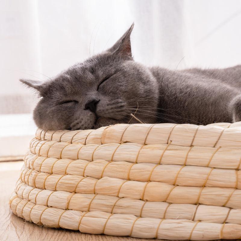 Cozy Haven: Handcrafted Felt House Cat Bed-2
