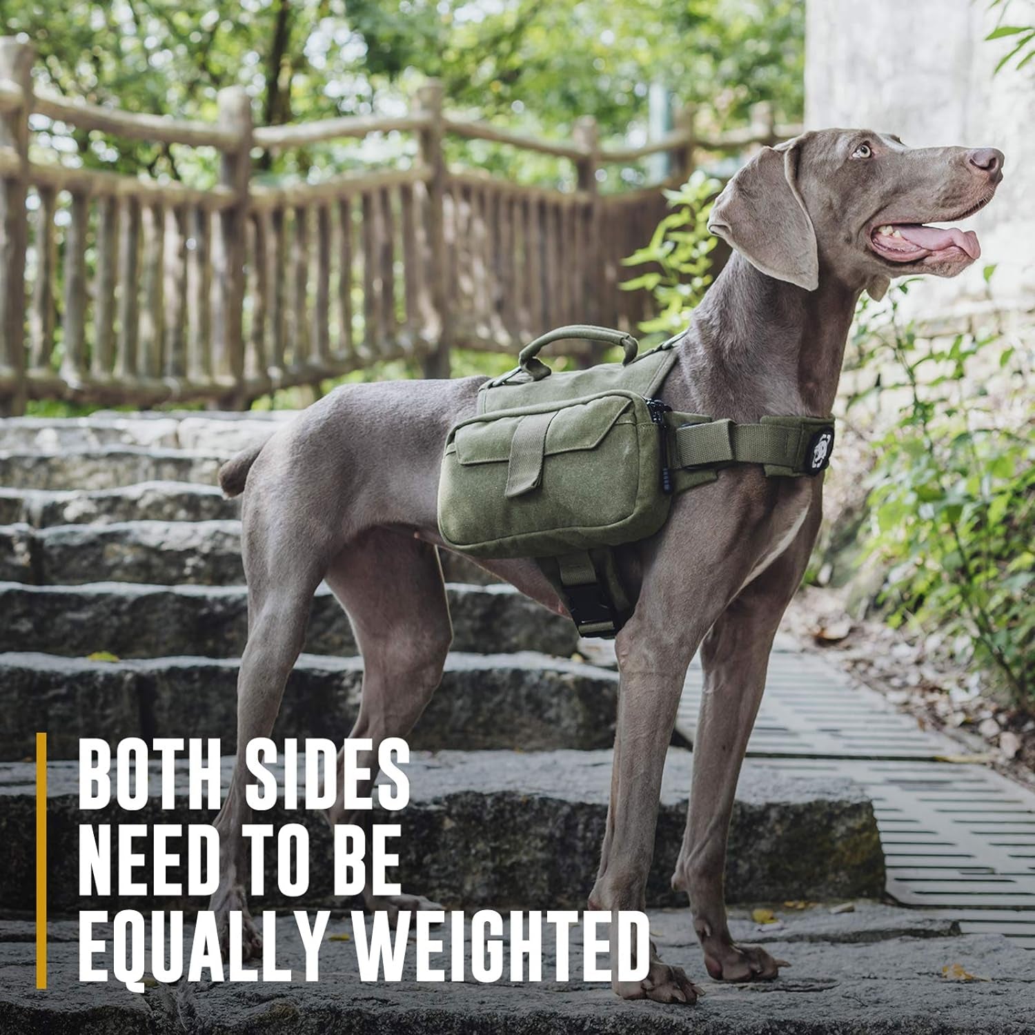 Dog Pack Hound Travel Camping Hiking Backpack Saddle Bag Rucksack for Medium & Large Dog (Ranger Green, Medium)